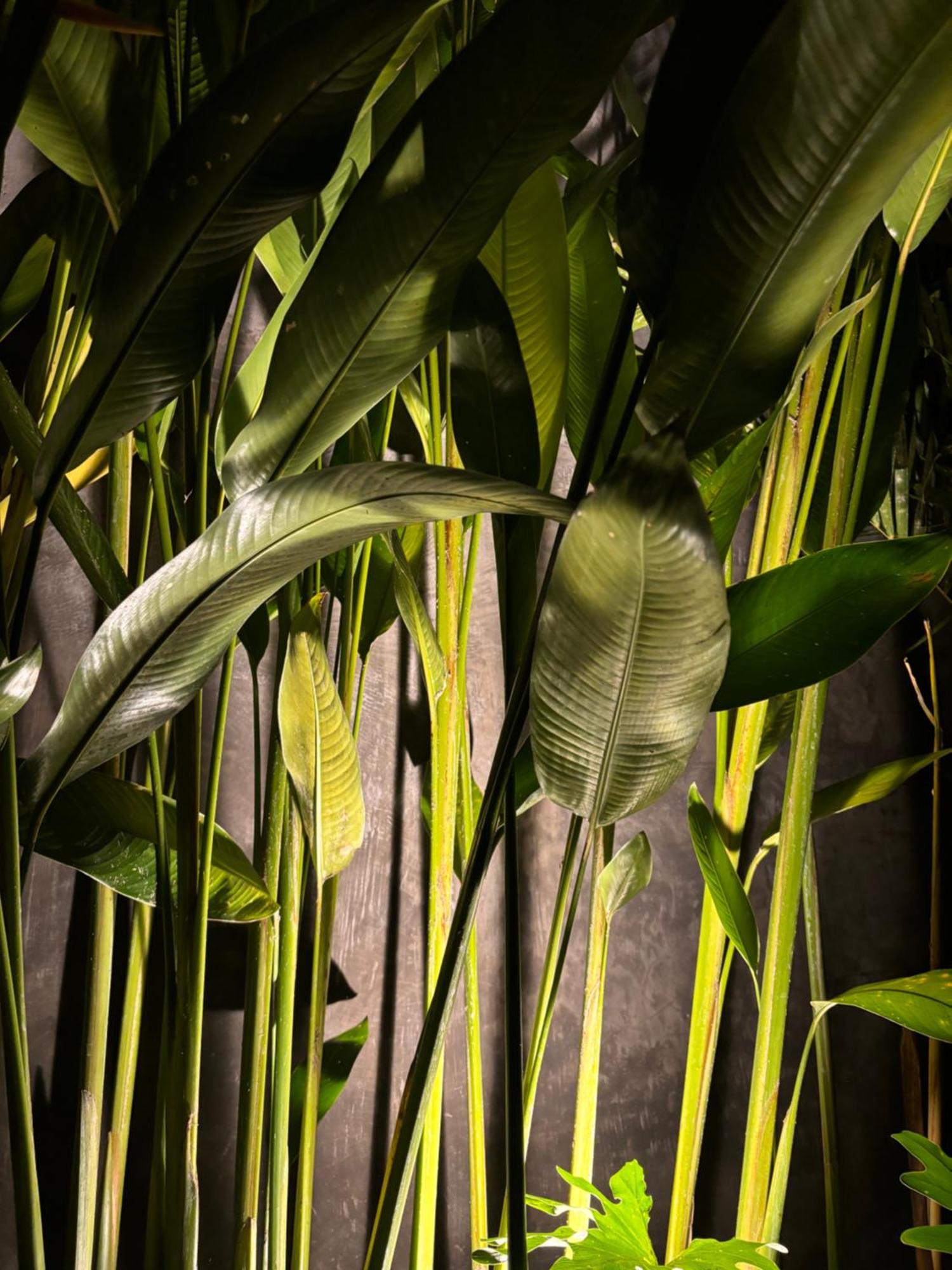 Rumah Kita Ecolodge Ubud Dış mekan fotoğraf