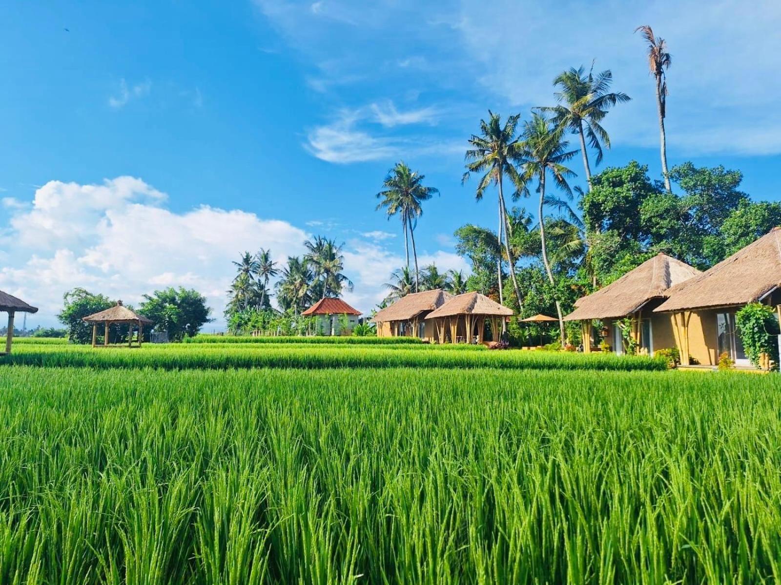 Rumah Kita Ecolodge Ubud Dış mekan fotoğraf