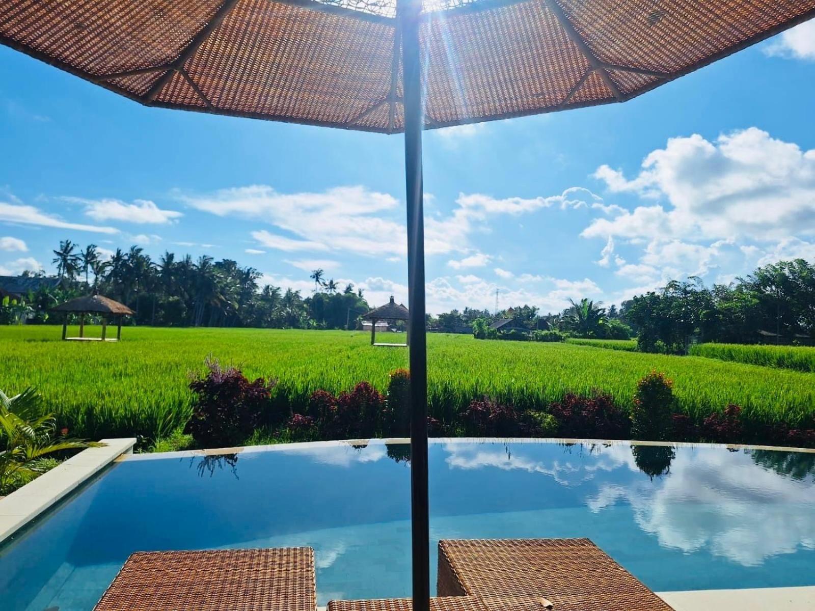 Rumah Kita Ecolodge Ubud Dış mekan fotoğraf