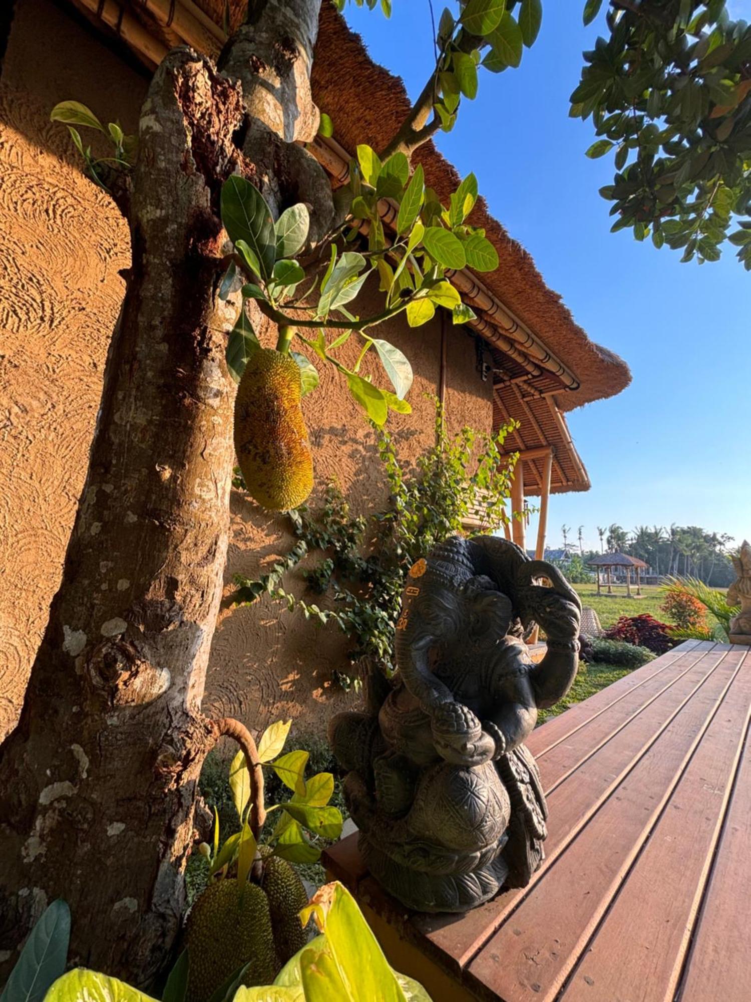 Rumah Kita Ecolodge Ubud Dış mekan fotoğraf