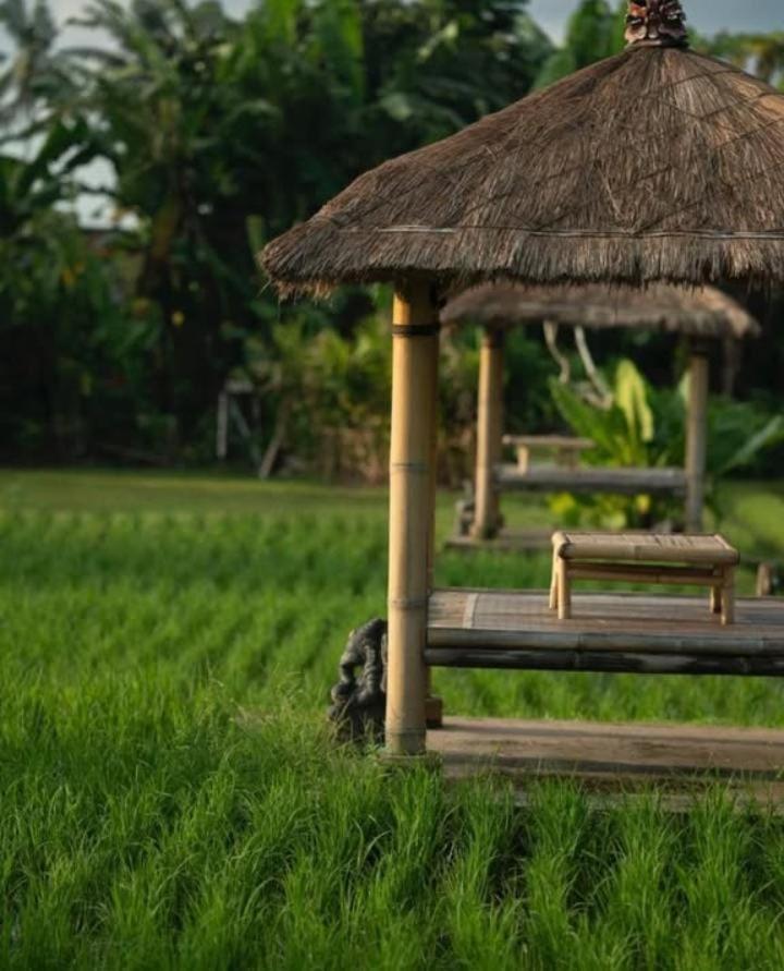 Rumah Kita Ecolodge Ubud Dış mekan fotoğraf